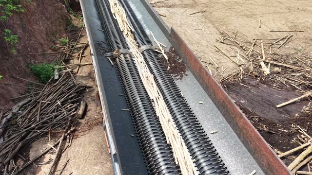 Close Up Of Bark On Conveyor