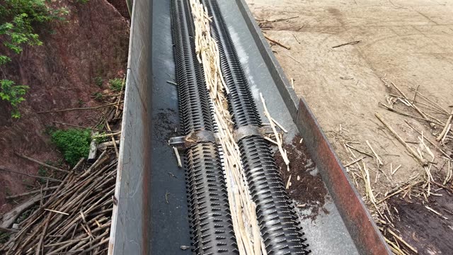 Bark Strips Moving On Conveyor