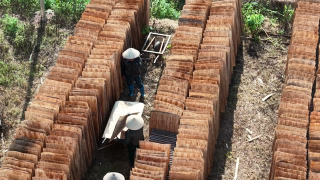 Workers Stacking Bark In Rows