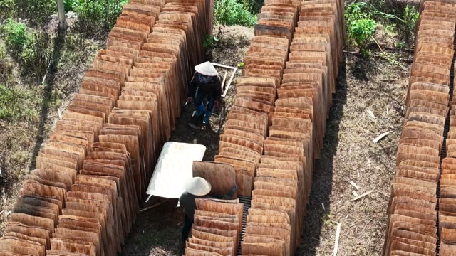 Workers Arranging Dried Bark