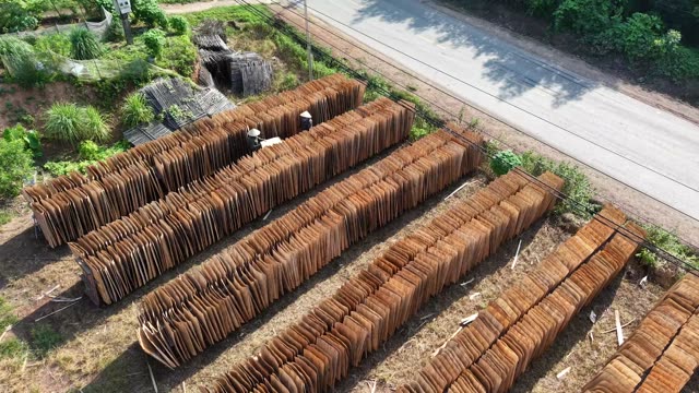 Workers Among Bark Drying Rows