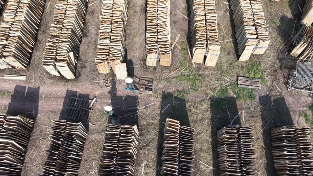 Workers In Bark Drying Yard