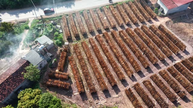 Aerial Wood Veneer Drying Yard