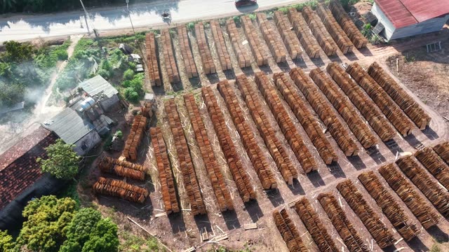 Wide View Of Bark Drying Yard