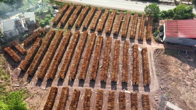 Bark Drying Rows From Above