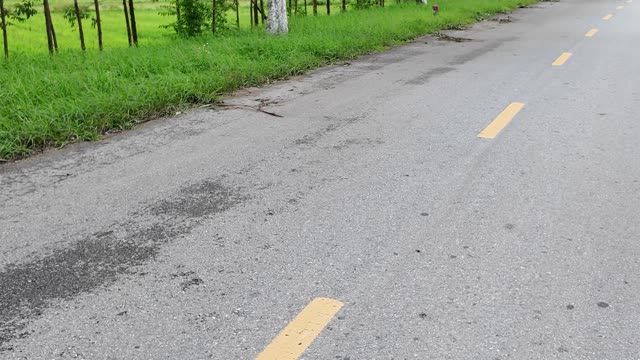 Quiet Countryside Road