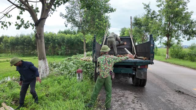 Farmers Loading Wood Truck