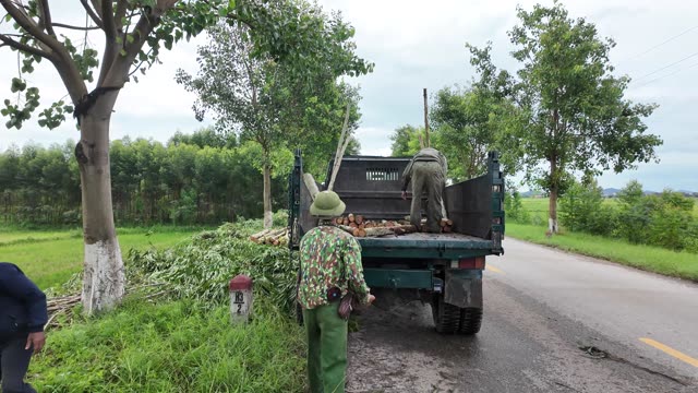 Loading Timber By Roadside