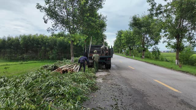 Workers Loading Timber Truck