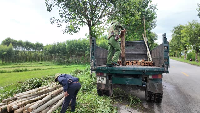 Stacking Logs On Truck Bed