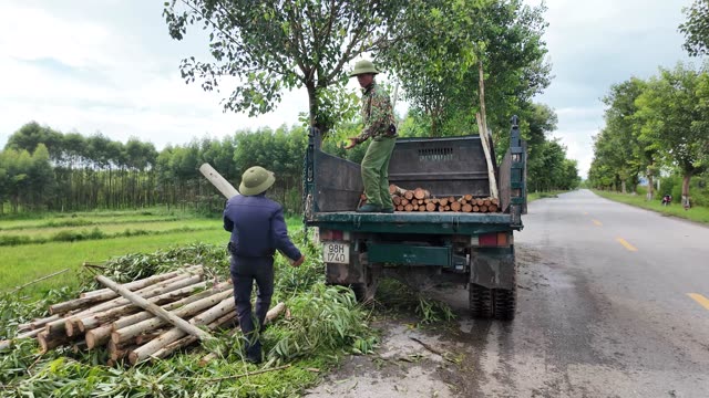 Loading Logs Roadside