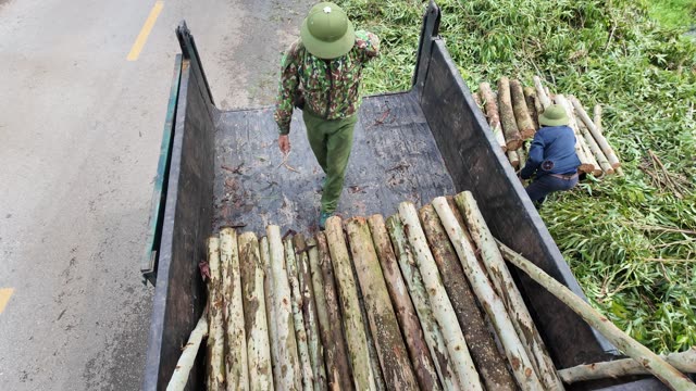 Worker Arranging Truck Logs