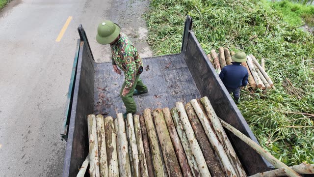 Loading Timber From Above