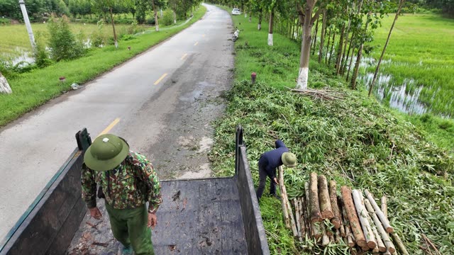 Farmers Stacking Timber On Truck