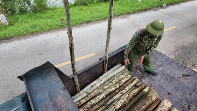 Farmer Arranging Poles In Truck