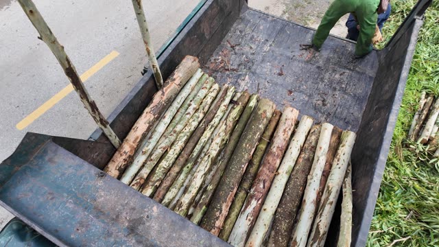 Stacked Timber In Truck Bed
