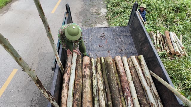 Loading Poles Onto Cargo Truck