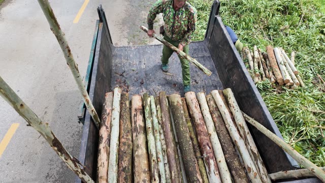 Farmer Handling Timber In Truck