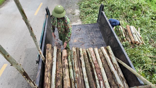 Farmer Walking In Truck Bed
