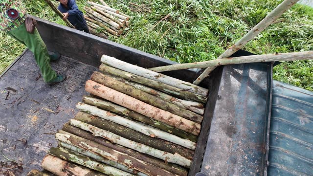 Farmer Lifting Poles Into Truck