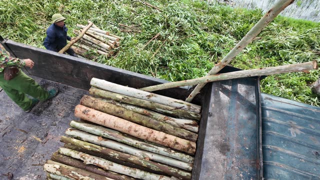Loading Timber Amid Green Foliage