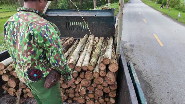 Farmer Beside Loaded Log Truck