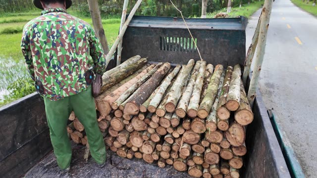 Man Beside Loaded Timber Truck