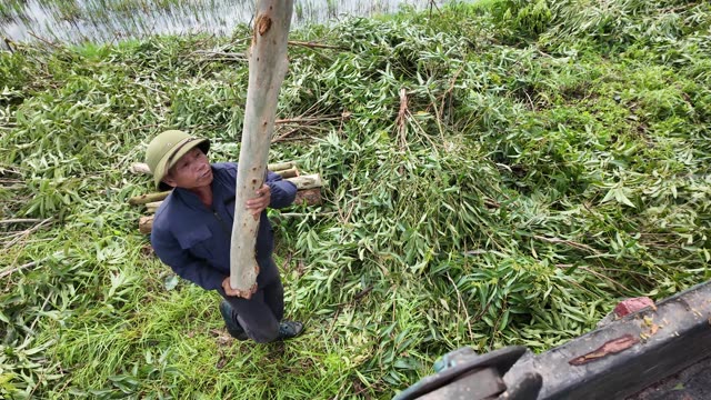 Farmer Clearing Cut Branches