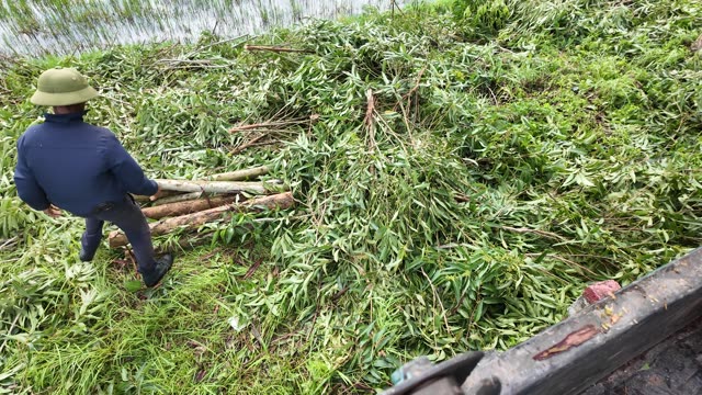 Dragging Poles Across Field