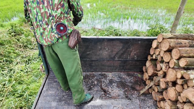 Farmer Beside Stacked Logs