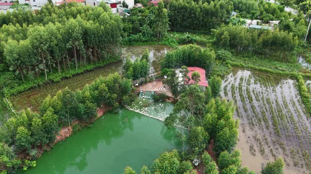 Rural Duck Pond Aerial