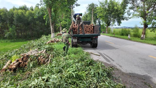 Crew Loading Logs By Road