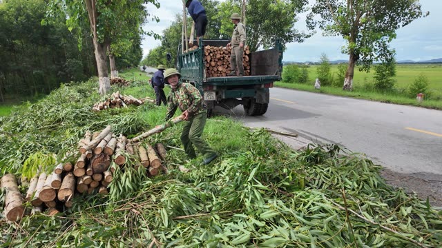 Loading Timber On Rural Road