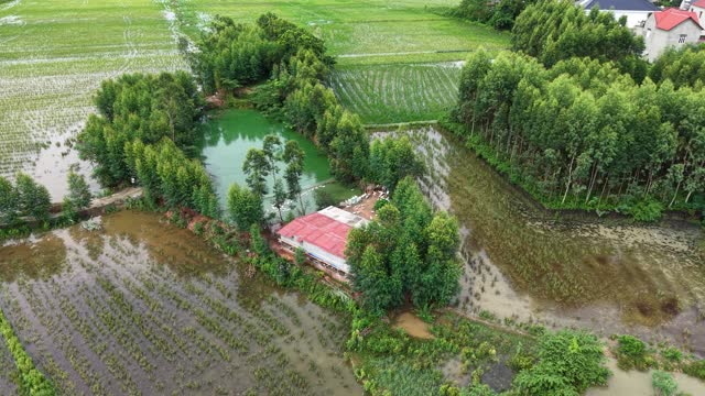 Rural Homestead And Green Pond