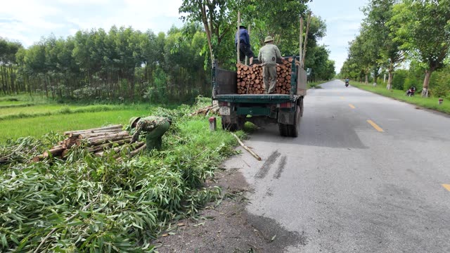 Loading Timber Onto Rural Truck