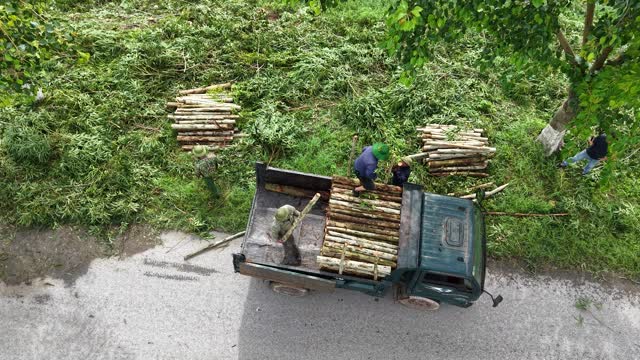 Workers Loading Timber Onto Truck