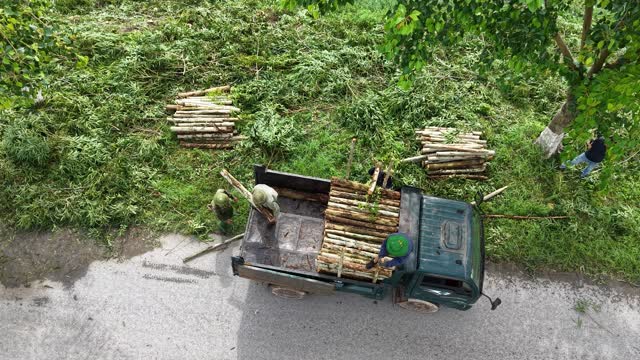 Loading Eucalyptus Poles Roadside