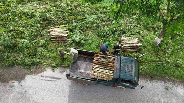 Harvested Wood Truck Loading