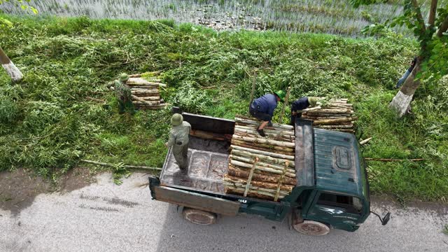 Overhead View Timber Harvest Work