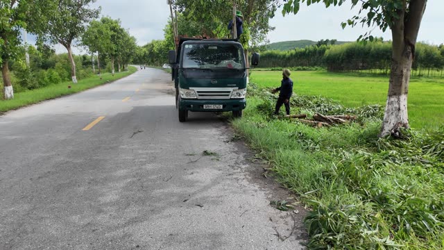 Truck On Tree Lined Road