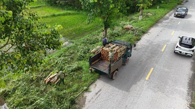 Cars Passing Loaded Timber Truck