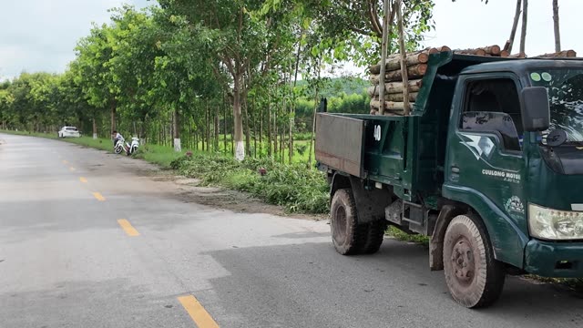 Loaded Timber Truck On Road