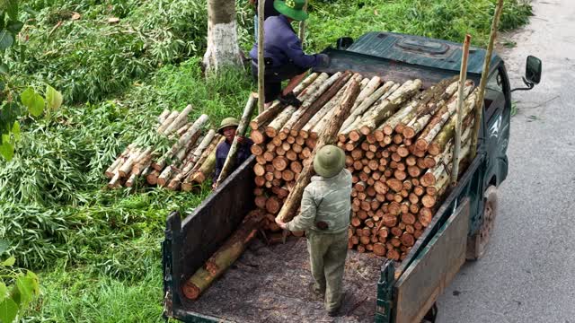 Close Aerial Loading Log Truck
