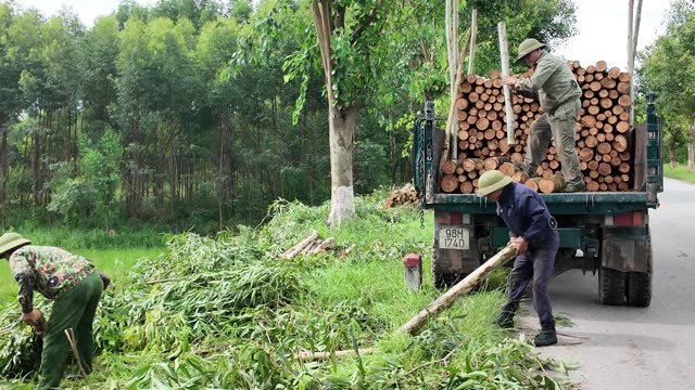 Stacking Logs On Farm Truck