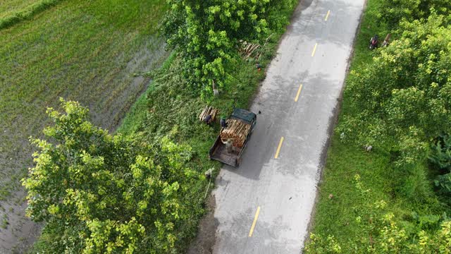 Rural Road Through Green Paddies