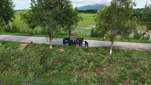 Scenic Rice Fields And Hills