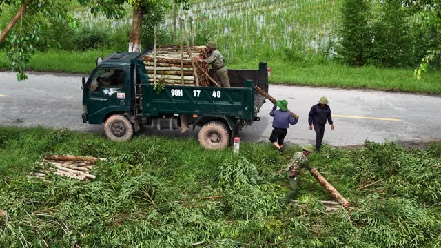 Loading Timber Onto Green Truck