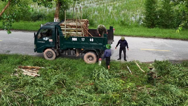 Farmers Handling Cut Timber