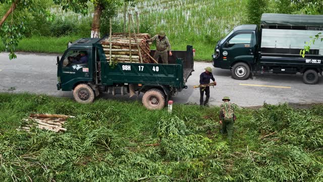 Roadside Timber Loading Operation