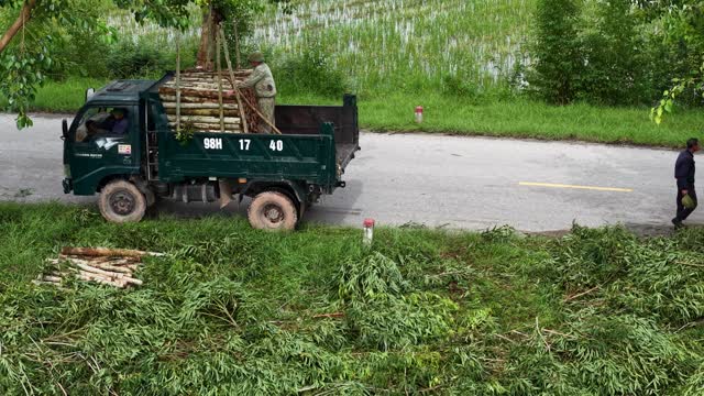 Green Truck Loaded With Logs